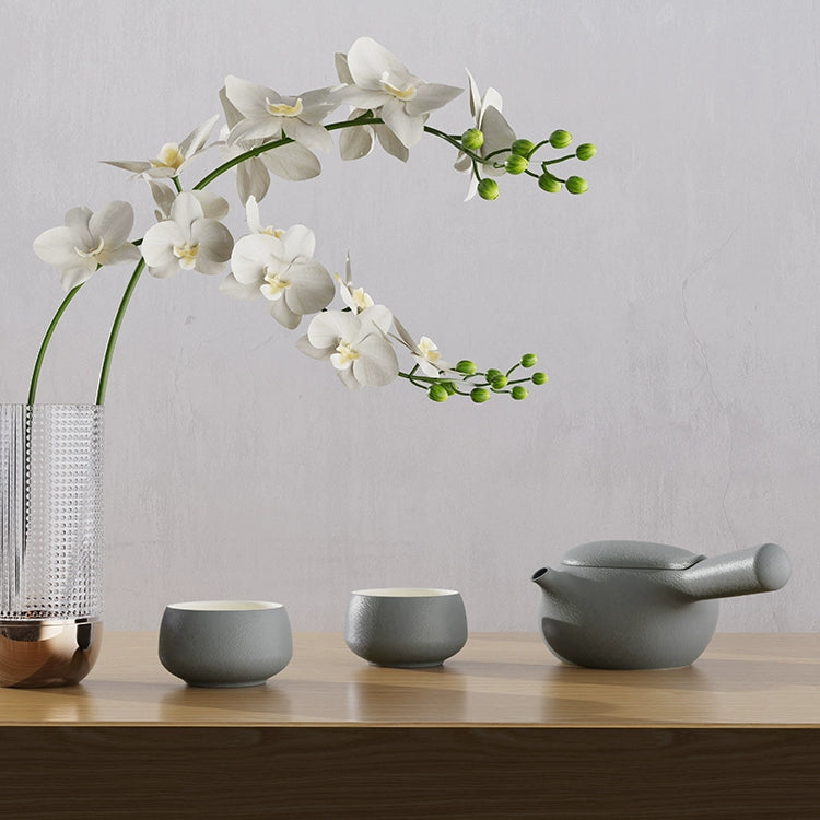 Japanese Ceramic Kyusu Tea Set 2 Cups with Tea Tray Grey