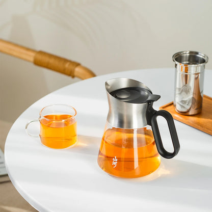 Small Glass Infuser Teapot 17 Oz with Stainless Steel Spout